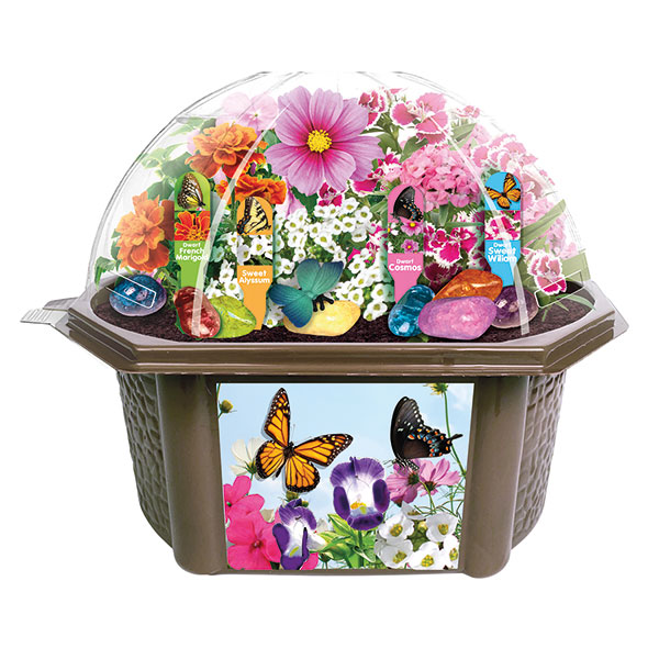 Butterfly Garden Grow Kit