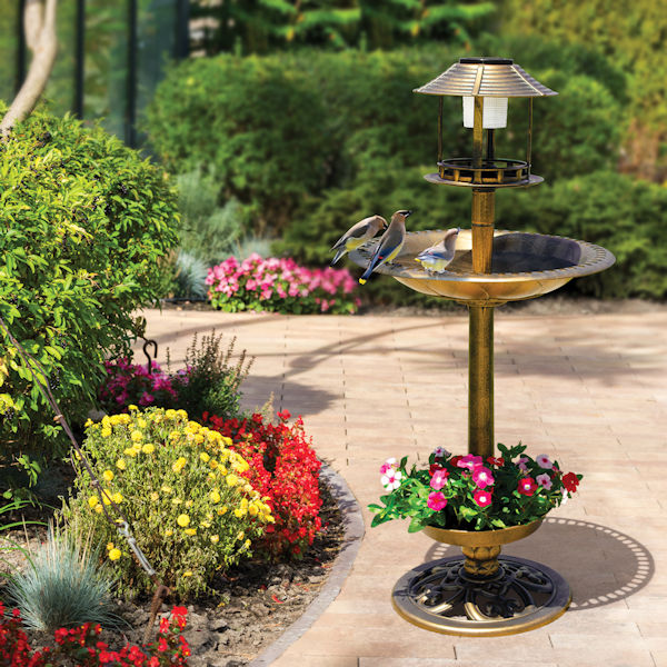 Product image for 4-in-1 Bird Bath
