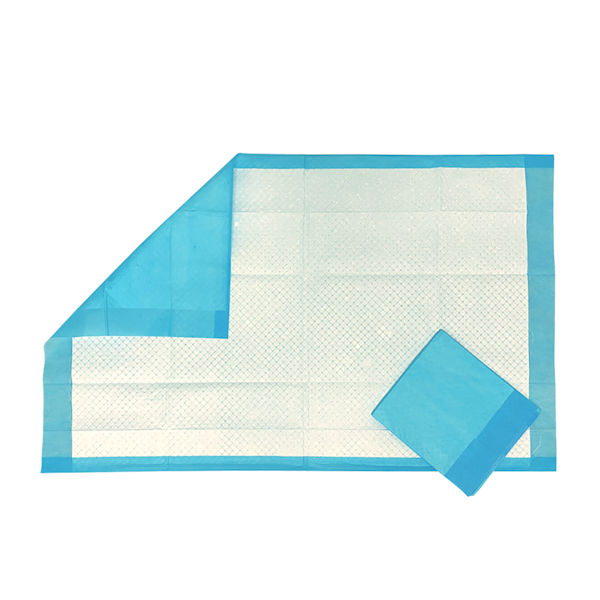 Product image for BodyMed Disposable Underpads - 50 Count