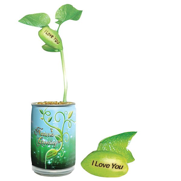 Product image for I Love You Plant