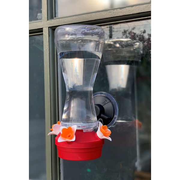 Product image for Hummingbird Feeder with Suction Cup