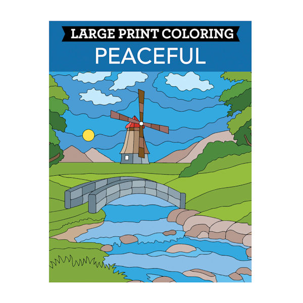 Large Print Color Books - Set of 3