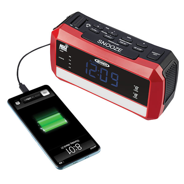 Product image for Weather Alert Clock Radio with Flashlight