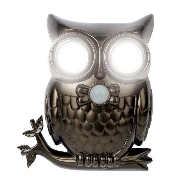 Product image for Owl Sensor Light with Sound