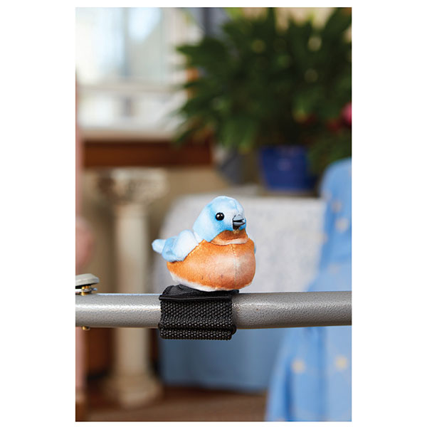 Product image for Companion Song Bird