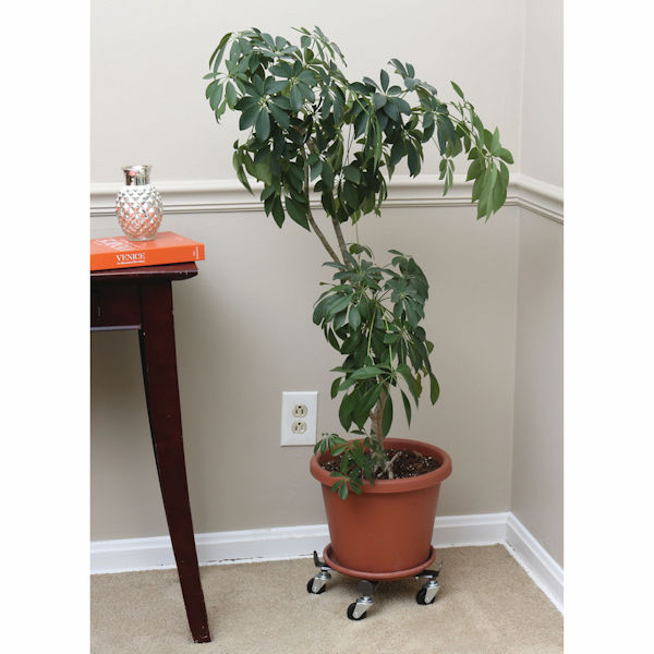 Product image for Rolling Plant Caddy
