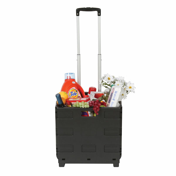 Product image for Folding Plastic Cart