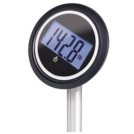 Extendable Display Scale - up to 550 lbs