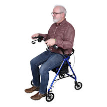 Product Image for Breeze Aluminum Rollator
