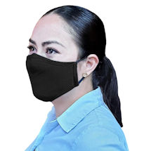Alternate image Reusable Mask with Replacement Filter