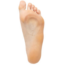 Product Image for Gel Metatarsal Pad
