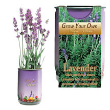 Lavender Grow Kit
