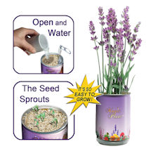 Alternate Image 1 for Lavender Grow Kit