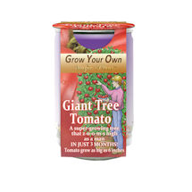 Alternate Image 1 for Grow Your Own Giant Tree Tomato Kit