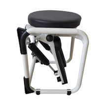 Alternate image for Stepper with Twist Stool