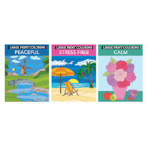 Product Image for Large Print Color Books - Set of 3