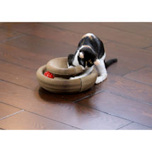 Alternate Image 4 for Kitty Round n Round Cat Toy