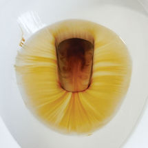 Alternate image for Mer-Maid Toilet Bowl Cleaner
