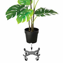 Alternate image for Rolling Plant Caddy
