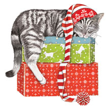 Product Image for Sleeping Kitty Christmas Cards